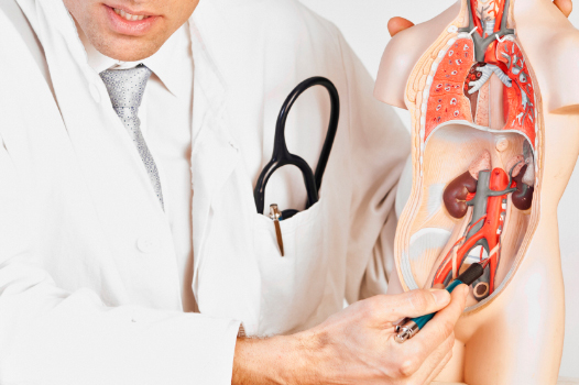 Kidney transplantation centre Calicut